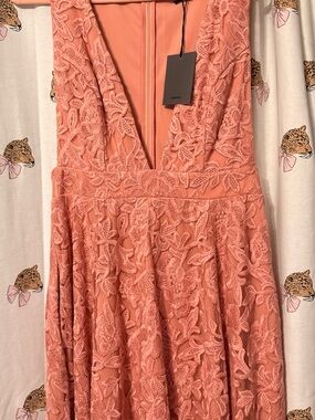 NBD Coral Lace V-Neck Fit-and-Flare Dress